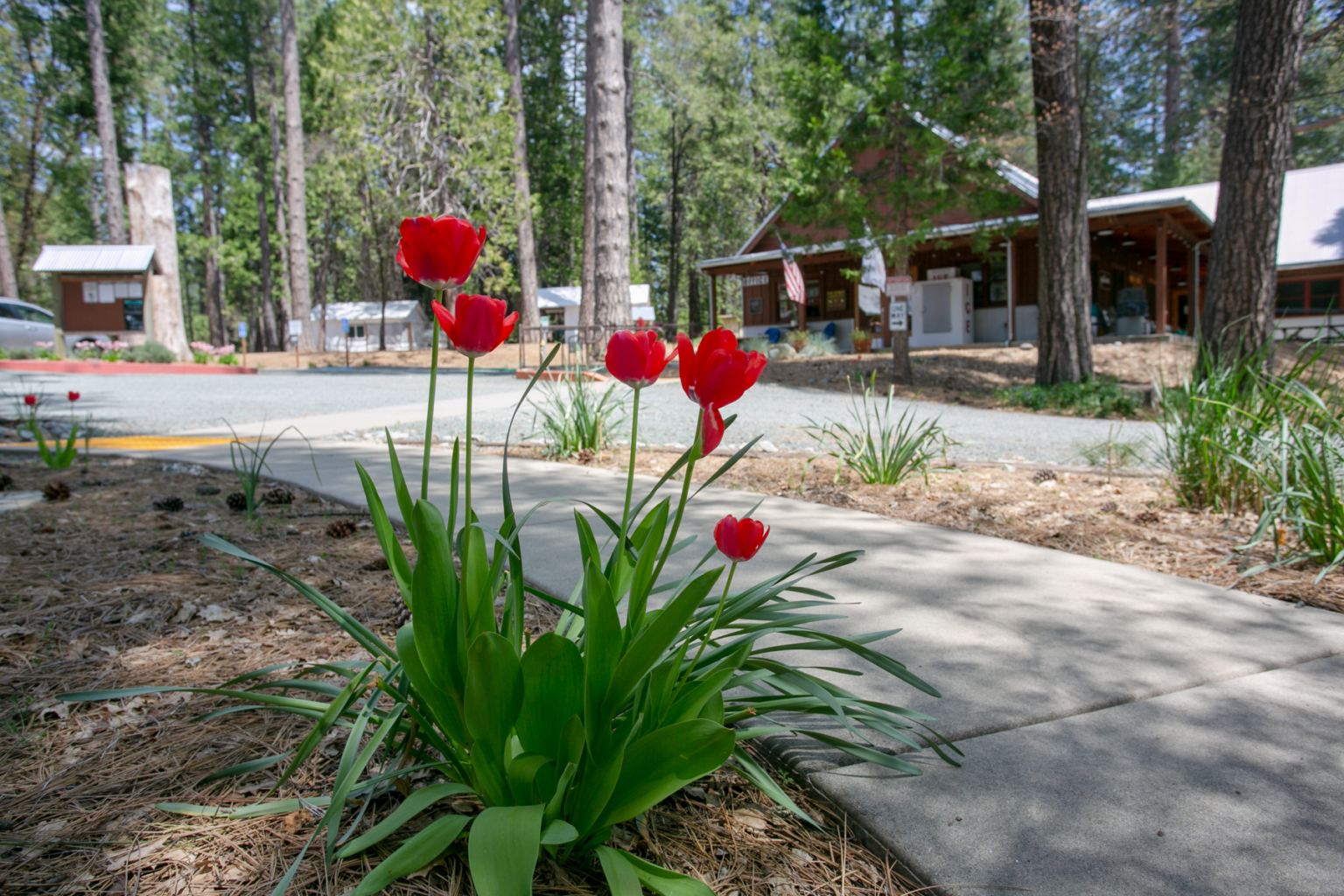 Spring camping season - Inn Town Campground