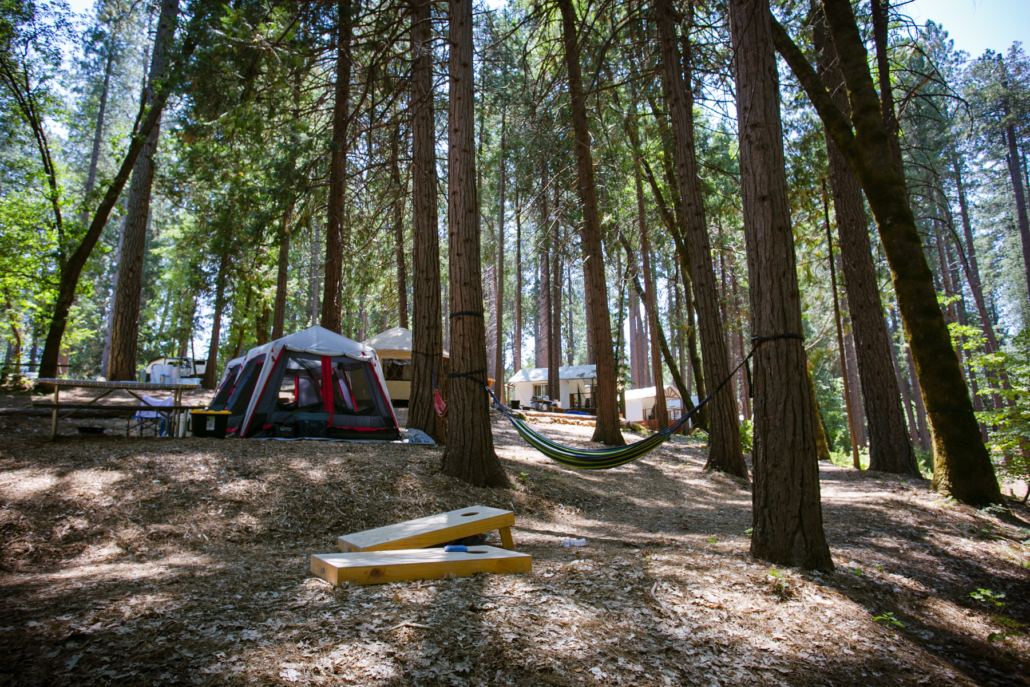 Camping
