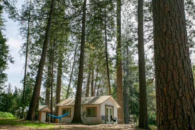 Glamping